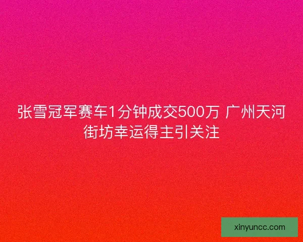 张雪冠军赛车1分钟成交500万 广州天河街坊幸运得主引关注